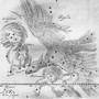 Trajectoire de la comète de 1661