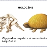 glyptodon, tatou de l'holocène