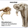 dinothérium du miocène