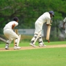Cricket