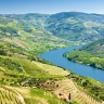 Alto Douro