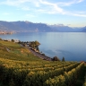 Lavaux