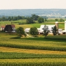 Pennsylvanie, paysage agricole