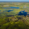Marais de l'Okavango