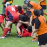 Rugby féminin Rugby féminin