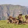 Massif du Simien