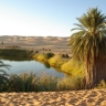 Lac d'oasis au Sahara