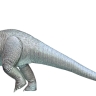 Diplodocus